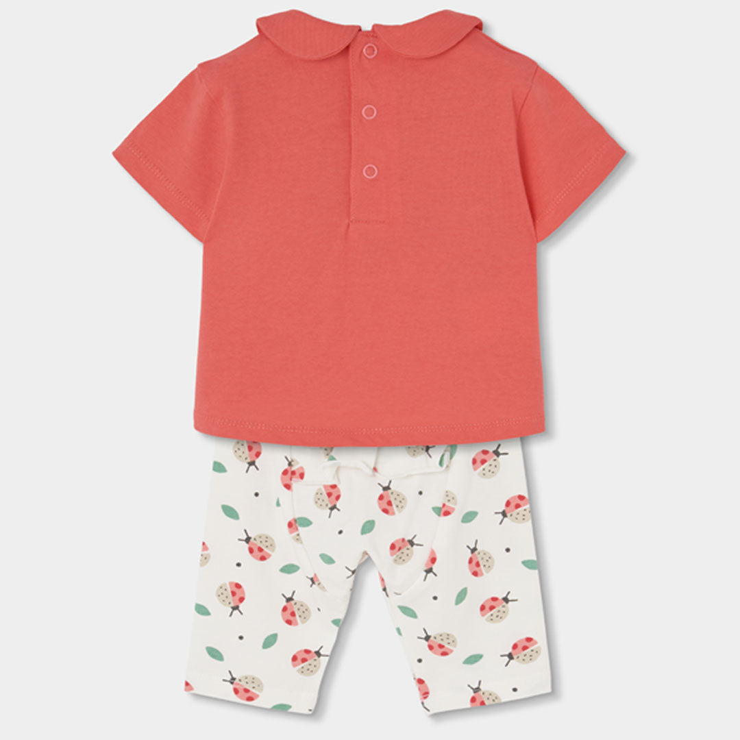 Conjunto punto de bebé niña 113016 Boboli