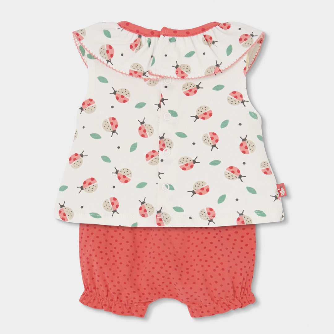 Conjunto punto de bebé niña 113072 Boboli