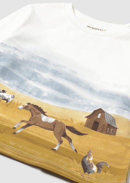 Camiseta m/l punto especial 2064