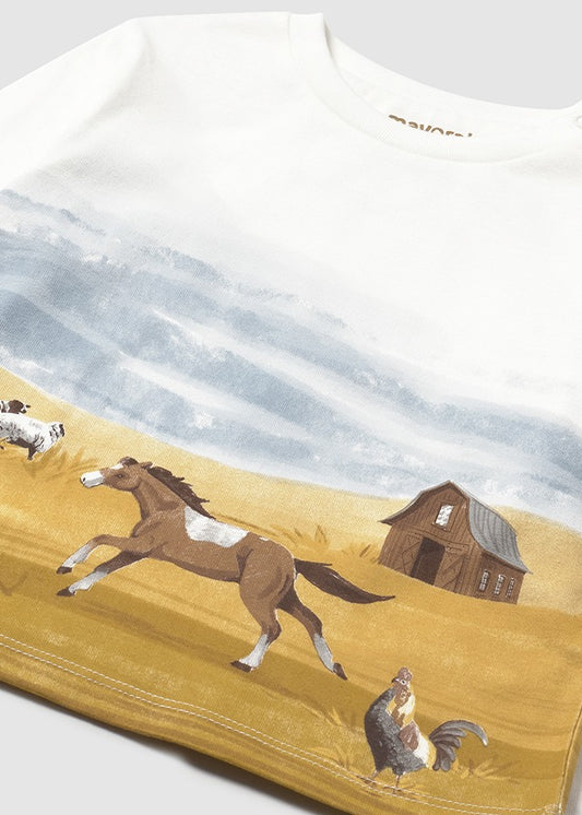 Camiseta m/l punto especial 2064