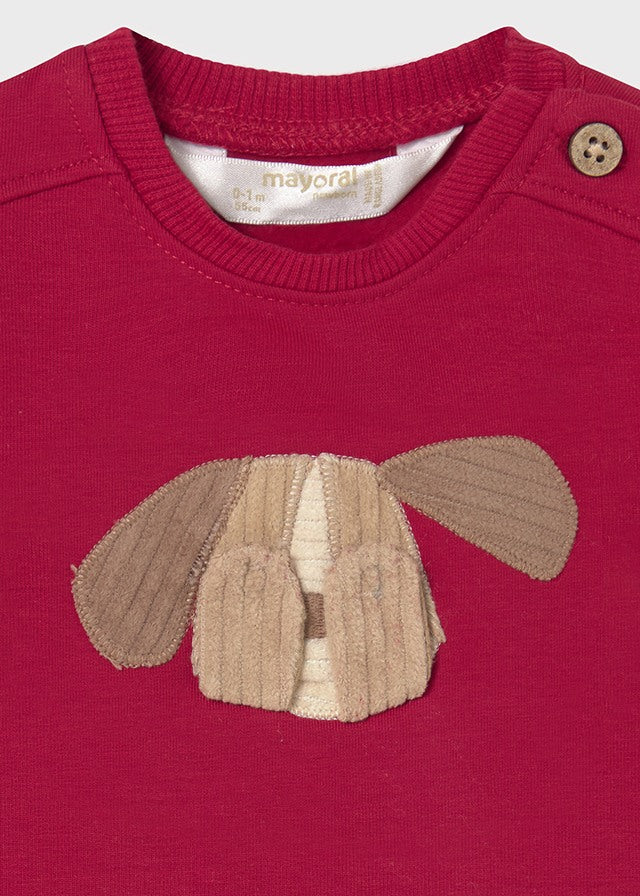 Pullover 2406