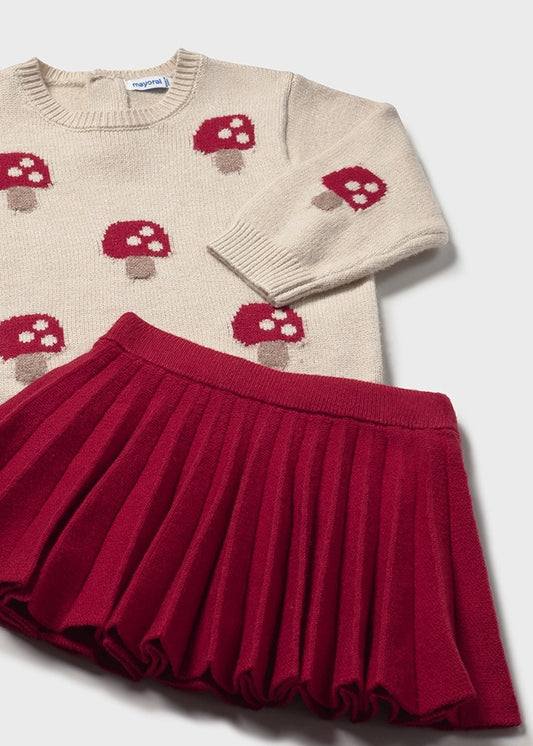 Conj. falda tricot 2925