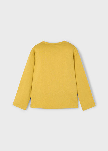Camiseta m/l	4010