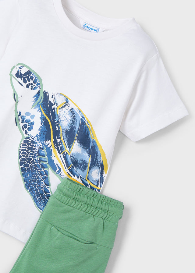 Conj. Punto "Turtle"