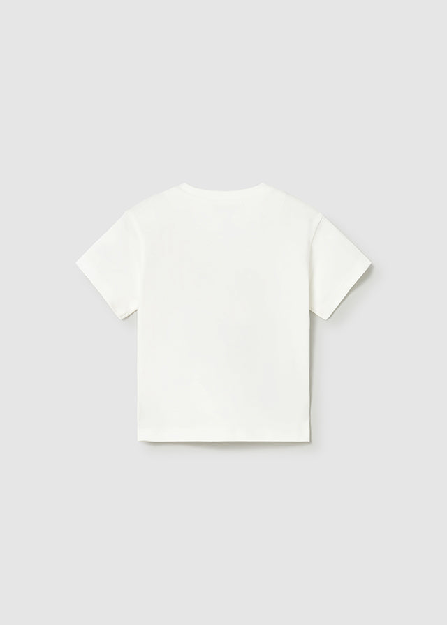 Camiseta m/c vehiculo mayoral 1010
