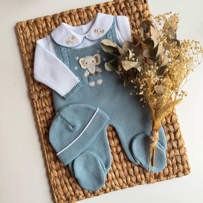 Primera Puesta Elefantes