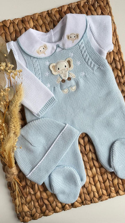 Primera Puesta Elefantes Celeste