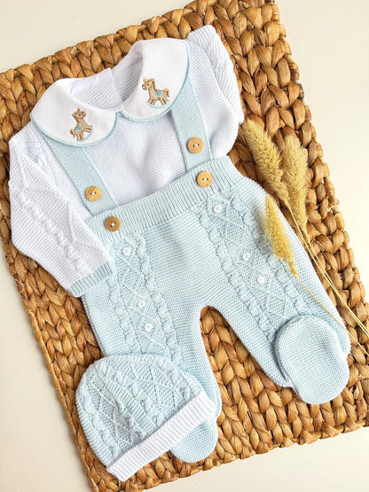 Primera Puesta Caballito Celeste